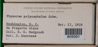 Image Associated With the Occurence
